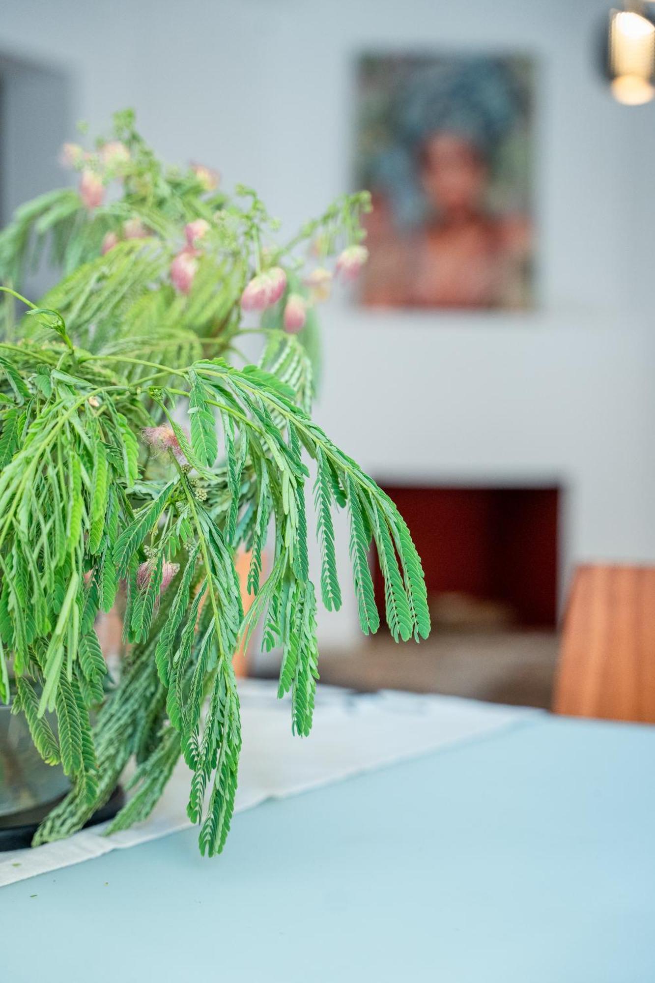 شقة Otium Living فولوس المظهر الخارجي الصورة